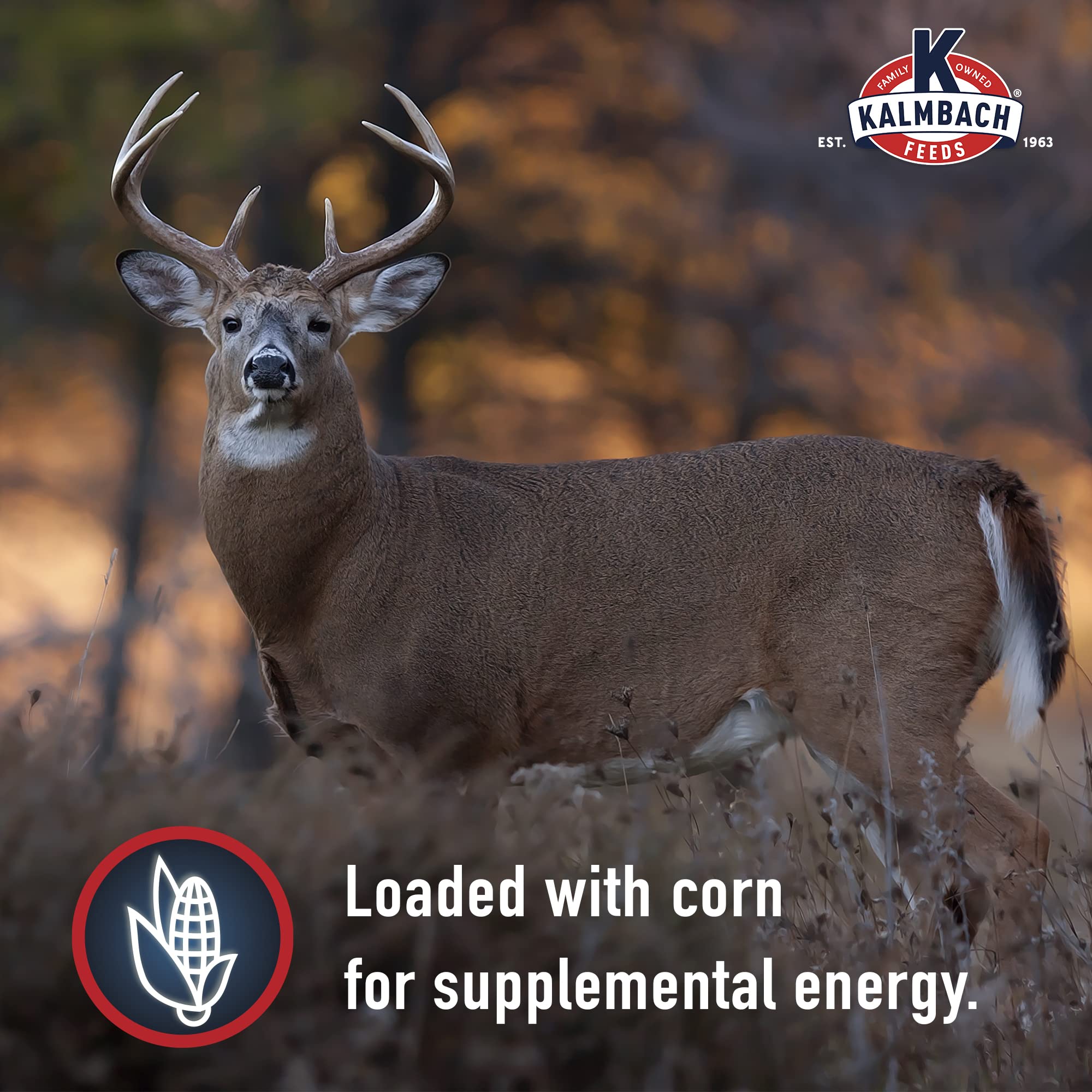Kalmbach Feeds Apple Flavored Deer Block atop feeder demonstrates convenient placement