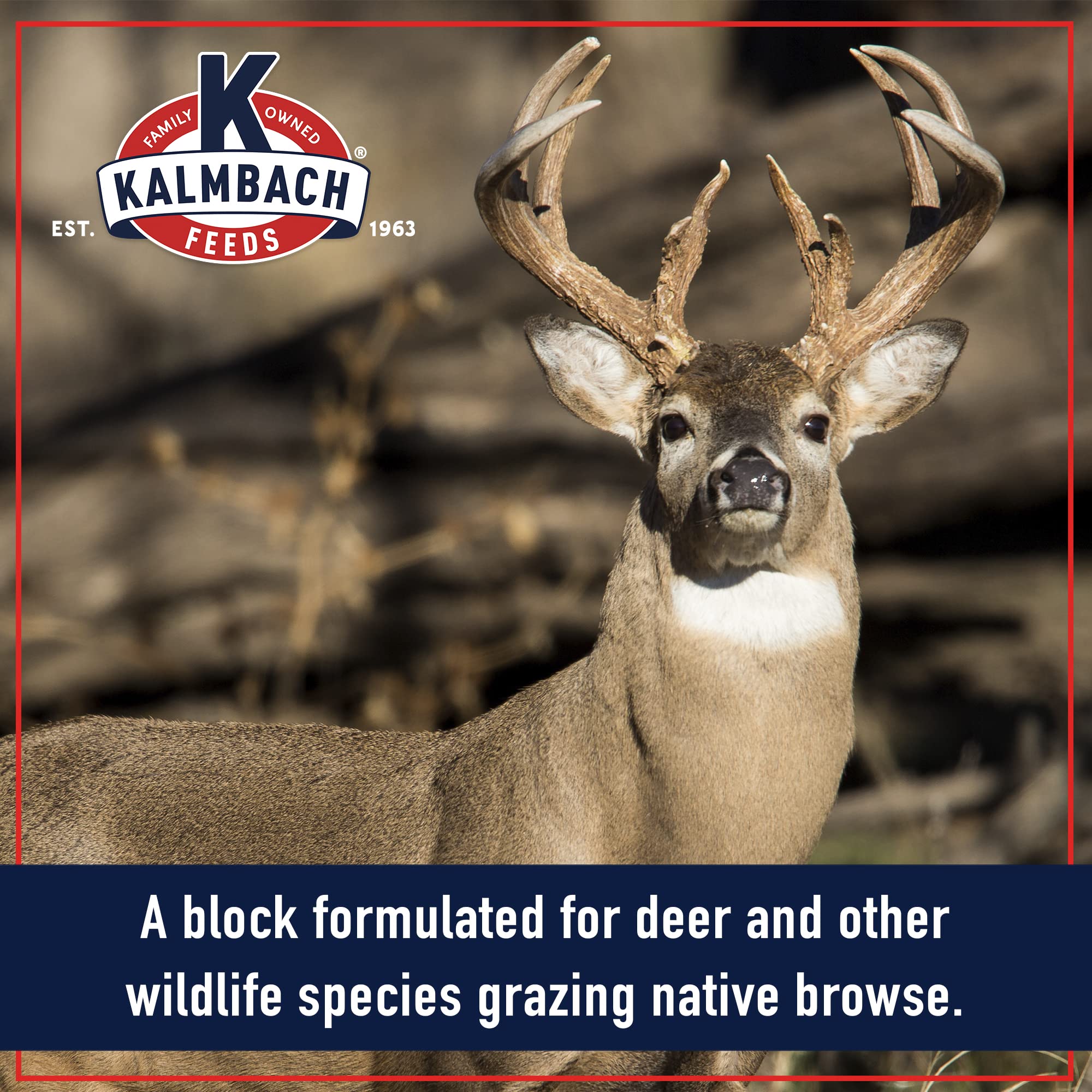 Kalmbach Feeds Apple Flavored Deer Block at feeding site attracts deer with apple aroma