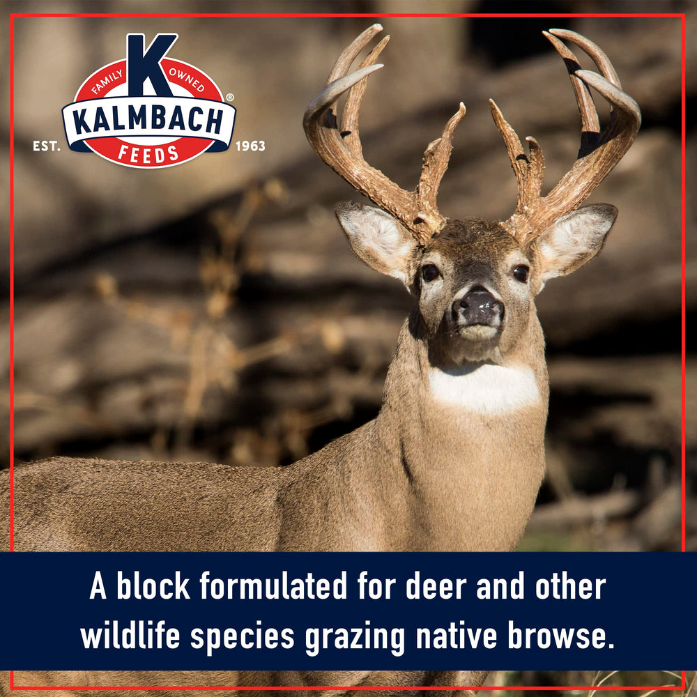 Kalmbach Feeds Apple Flavored Deer Block at feeding site attracts deer with apple aroma