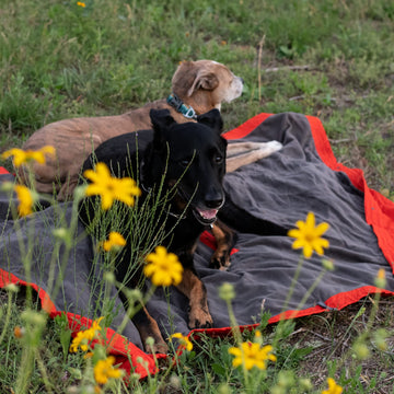 KAMMOK Field Blanket indoor outdoor versatility for home and campsite