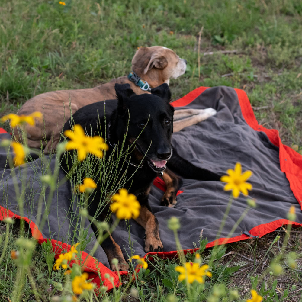 KAMMOK Field Blanket indoor outdoor versatility for home and campsite