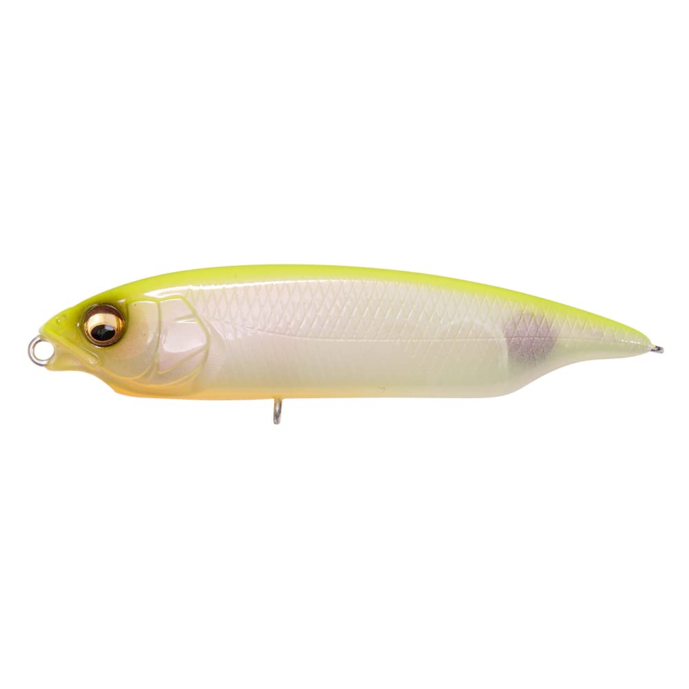 KARASHI SW saltwater finesse lure hot shad - front view