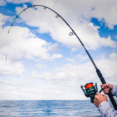 KastKing Kong S-curve graphite blank close-up highlights strength and sensitivity.