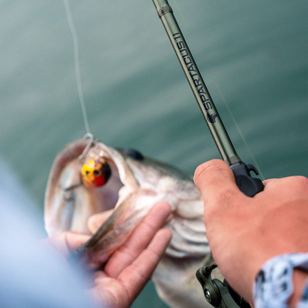 KastKing Spartacus II versatile rod for multiple species, with strong, sensitive action.