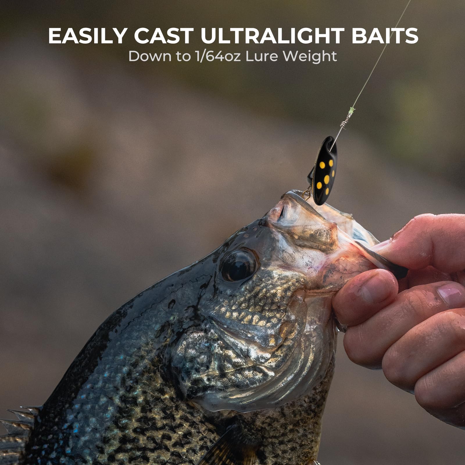 KastKing Zephyr Spin Finesse rod features drop-shot keeper for tangle-free rigs.