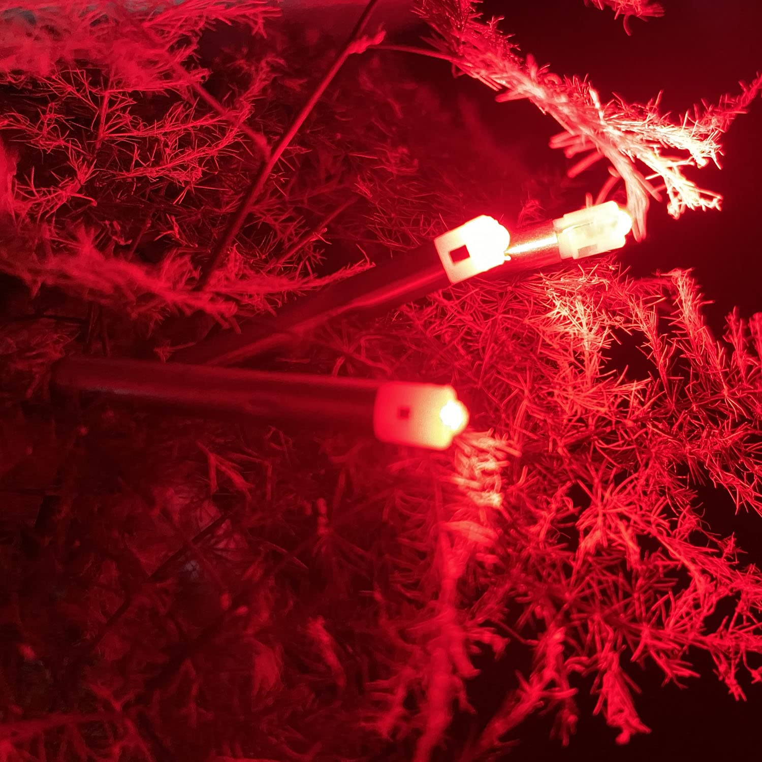 Six KEAUP LED Bobber Lights in red for night fishing