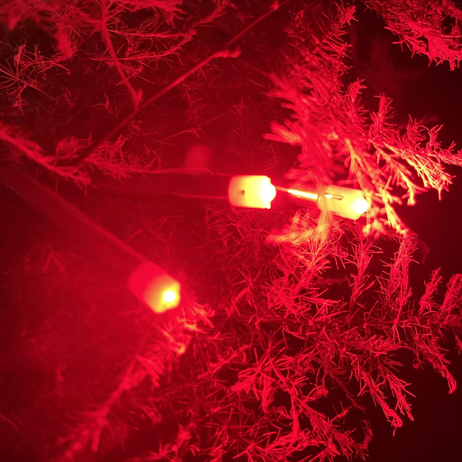 Close-up of KEAUP Bobber Light Red for fishing lures