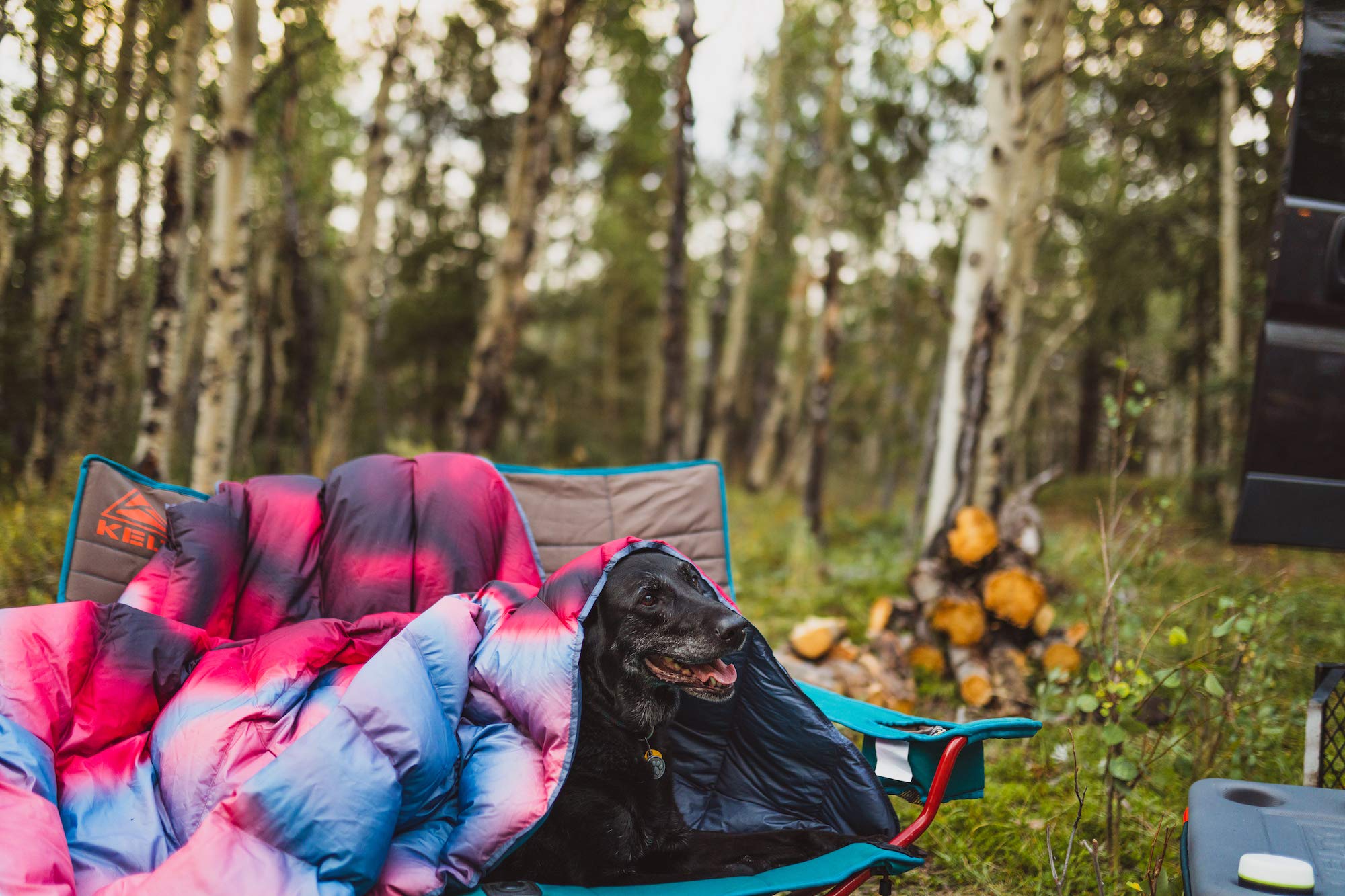 Kelty Galactic Down Blanket packed in its stuff sack for easy travel.