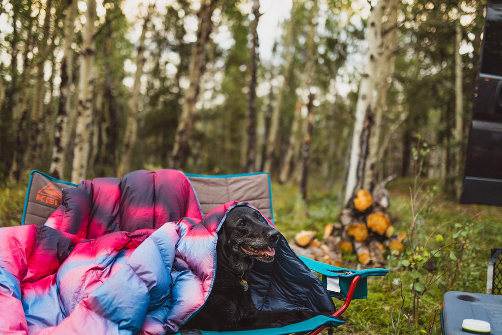 Kelty Galactic Down Blanket packed in its stuff sack for easy travel.