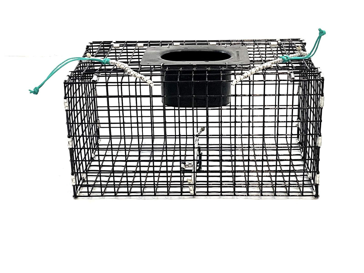 Ketcham Supply Green Crab Trap front view with PVC-coated mesh for durable, easy handling