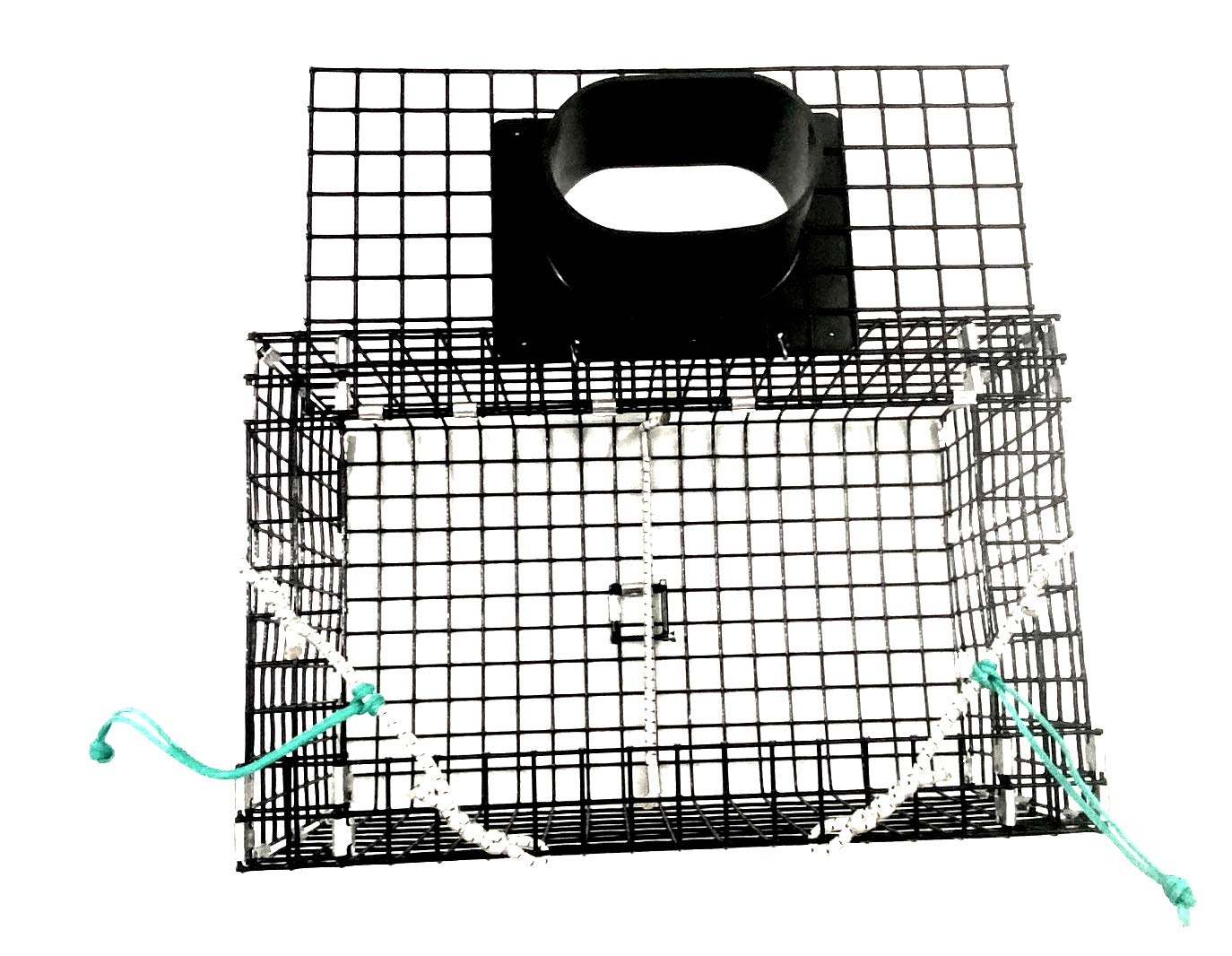 Ketcham Supply Green Crab Trap open-bait area view showing bait spike for secure baiting