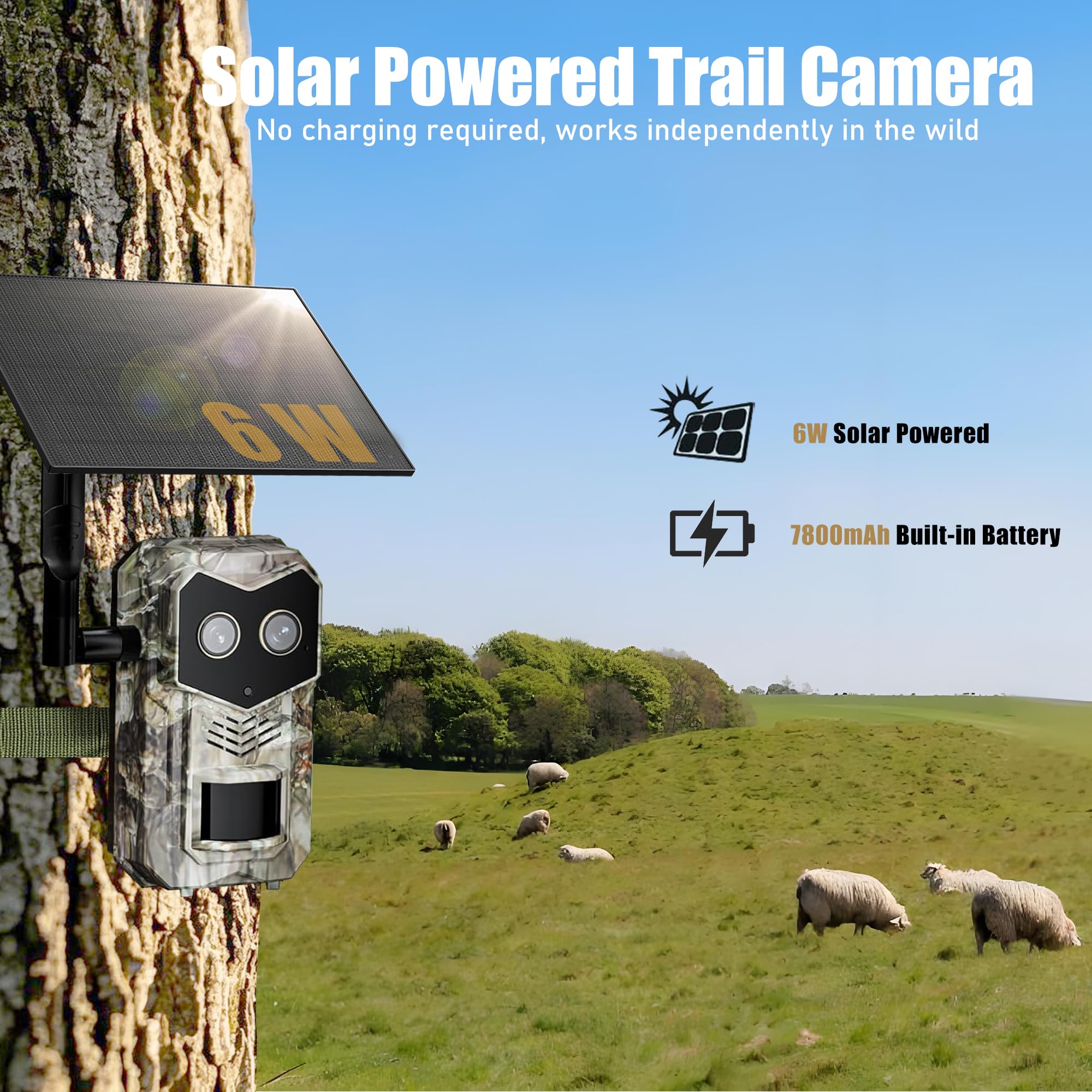 KeuangXpet gps-tracking-map-feature helps you locate the camera across large properties.