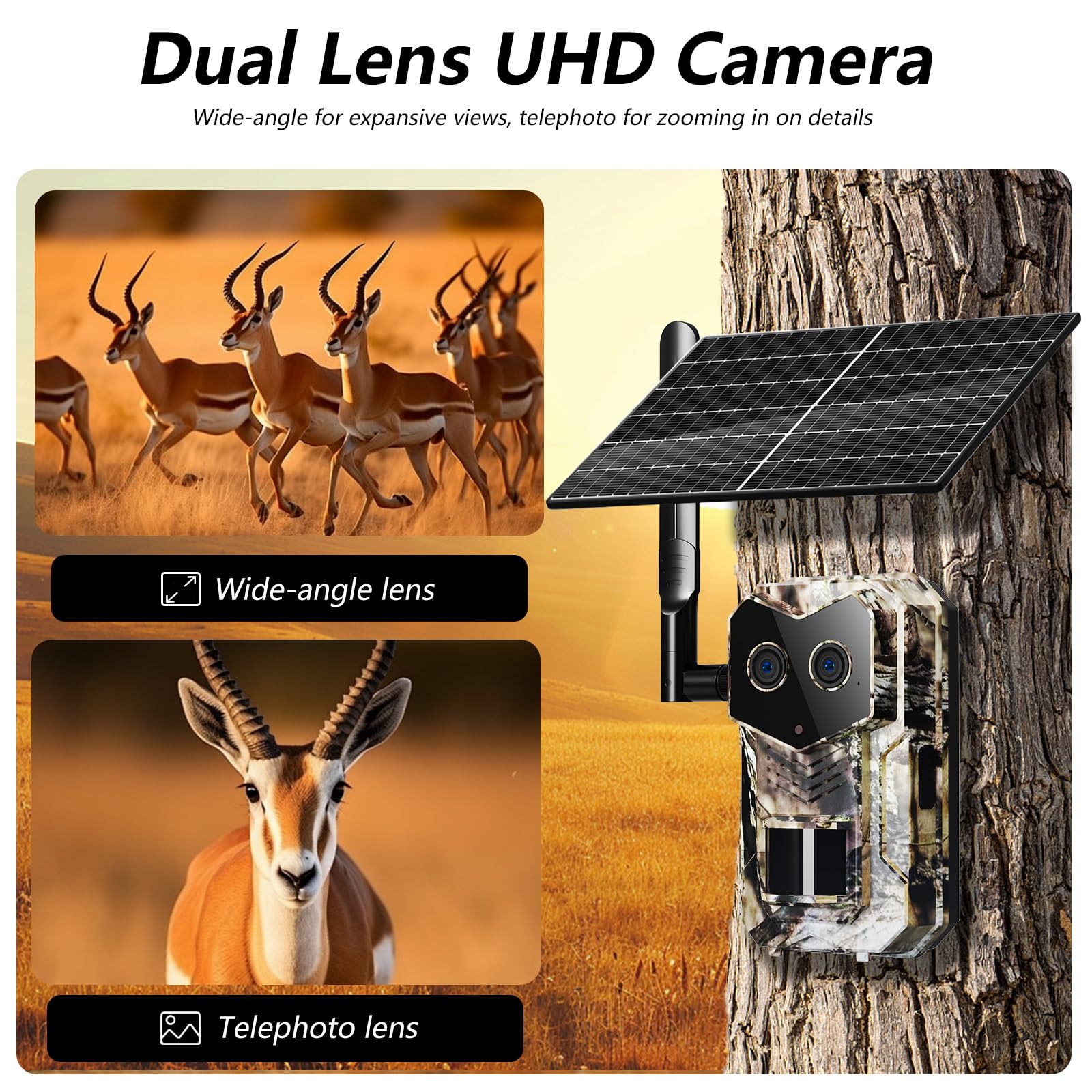KeuangXpet-ip65-weatherproof-housing withstands rain and dust in rugged outdoor environments.