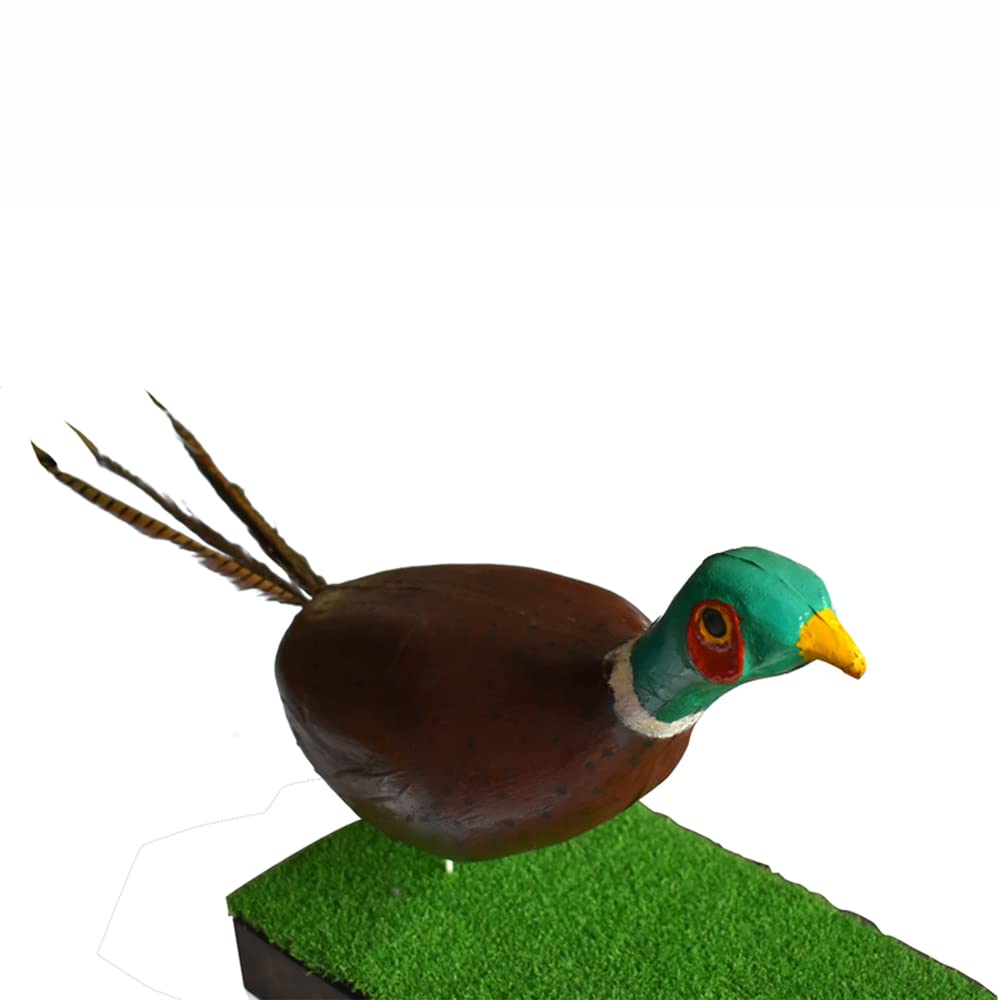KHAMPA 3D archery target pheasant, UV-paint preserves vibrant color outdoors.