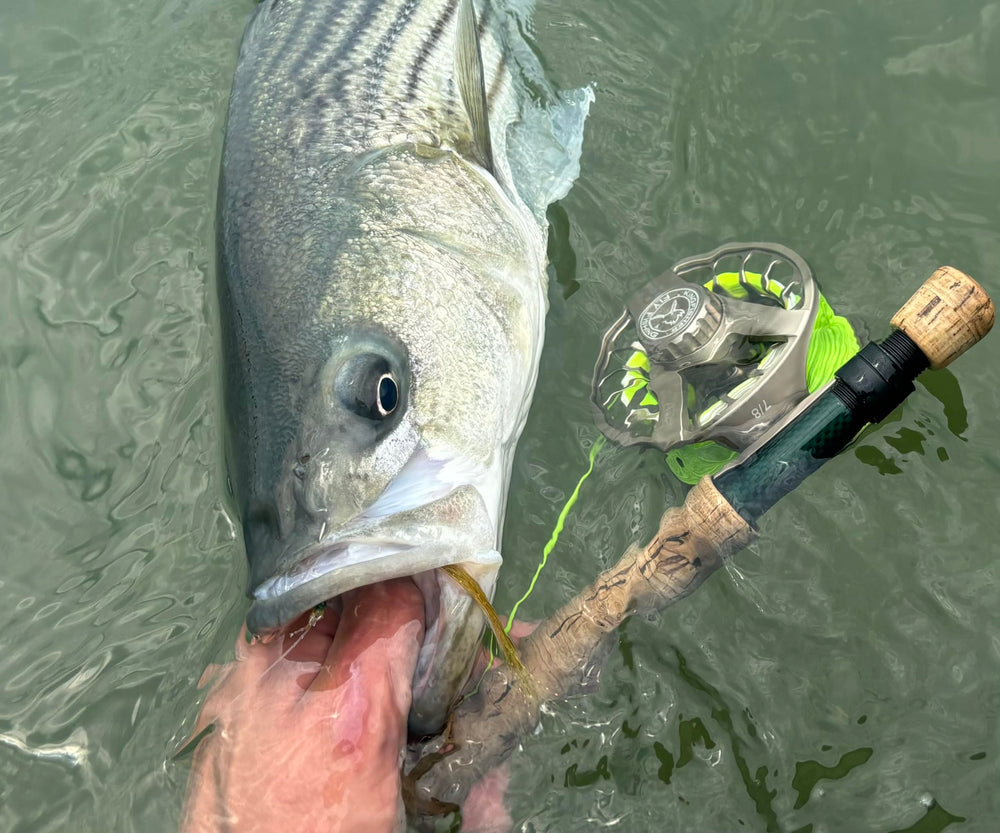 Kingfisher Big Blackfoot Reel care-durability shot supports long-term maintenance and care.