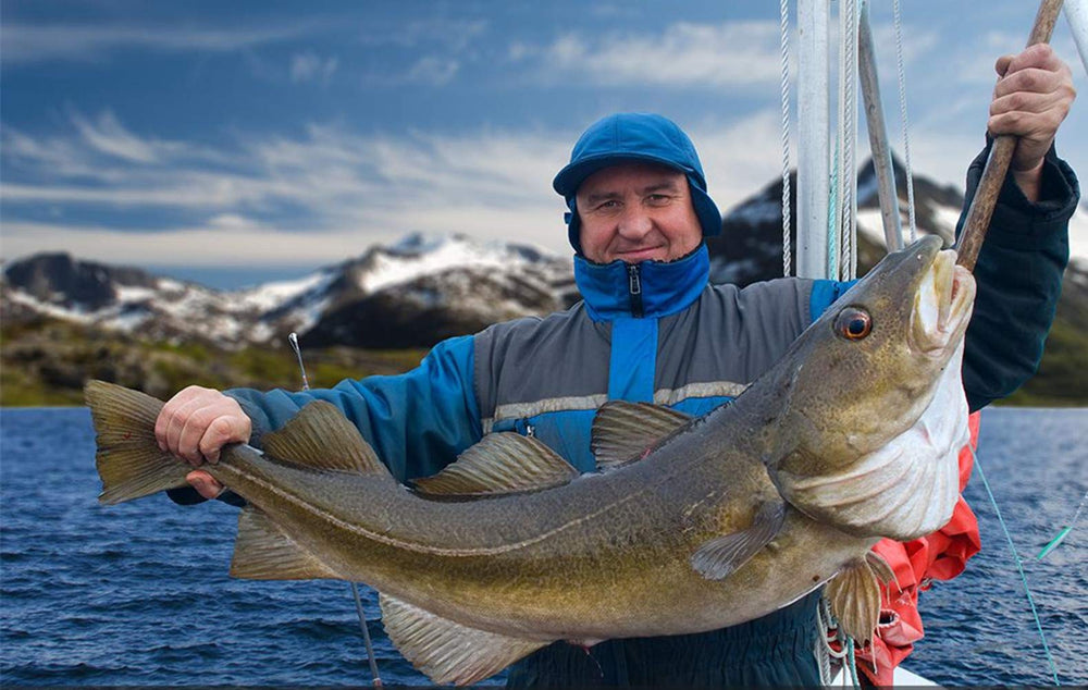Lures designed for saltwater species: salmon, walleye, pike