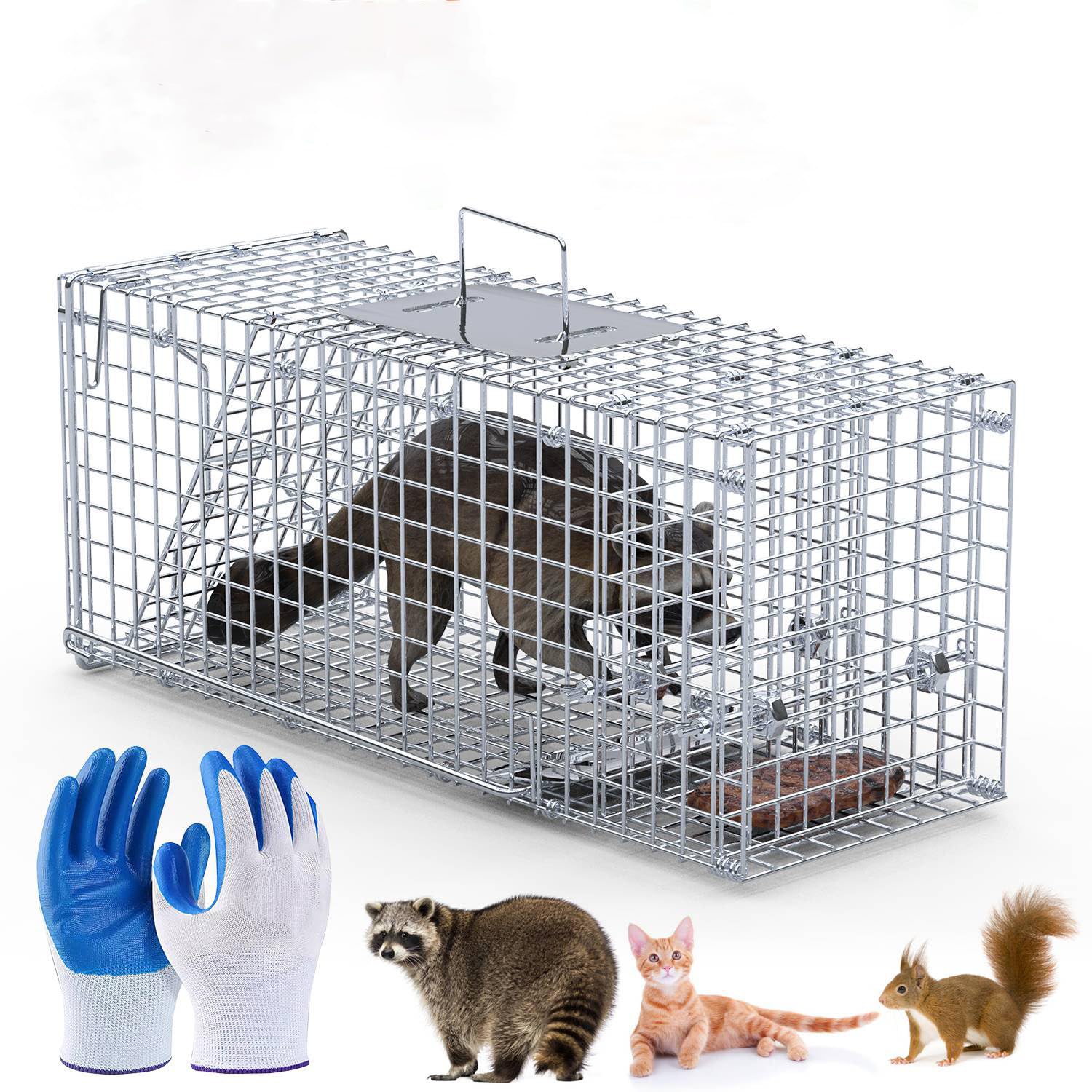 KinWarmth live humane trap cage front view with durable galvanized metal