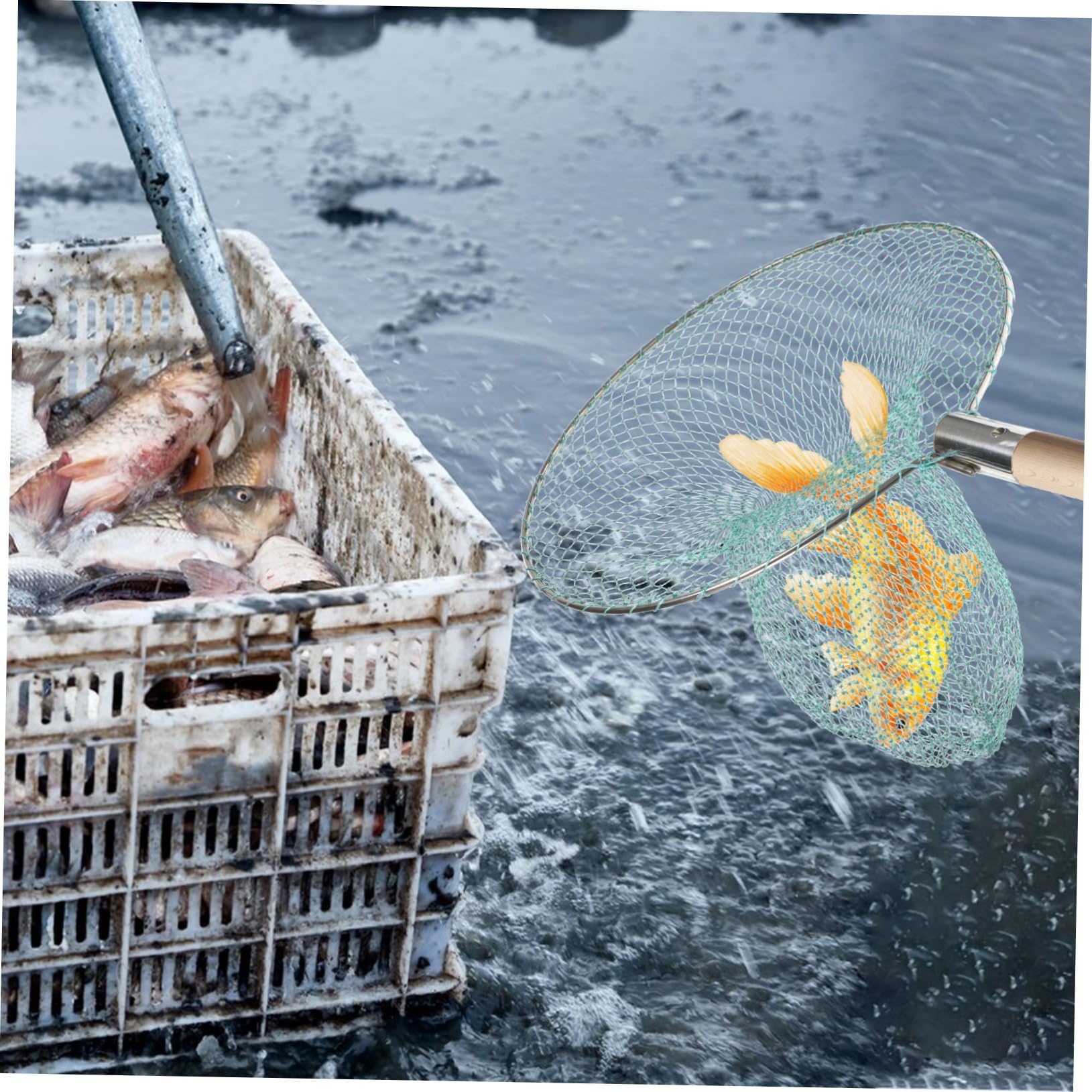 Kisangel easy-clean mesh supports hygienic maintenance.