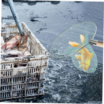 Kisangel easy-clean mesh supports hygienic maintenance.