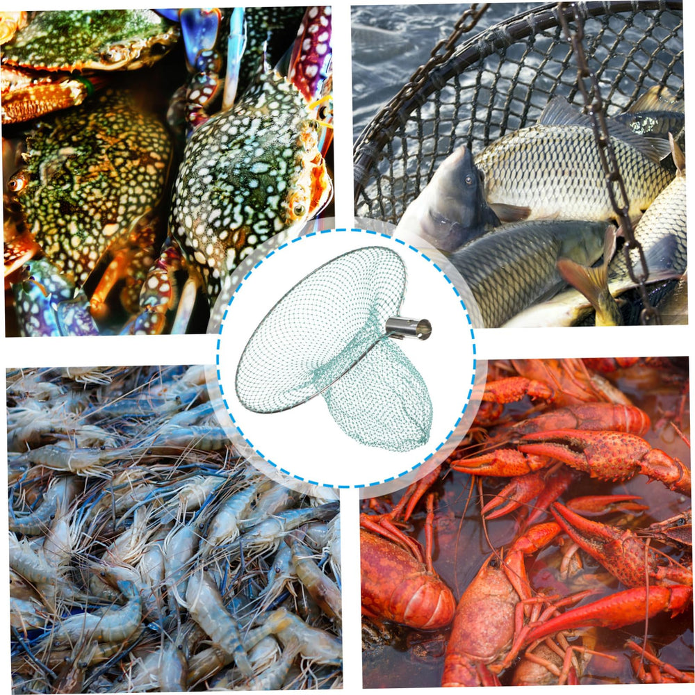 Kisangel portable fishing net head for on-the-go anglers.