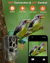 KJK Trail Camera 84MP still image captures crisp wildlife detail.