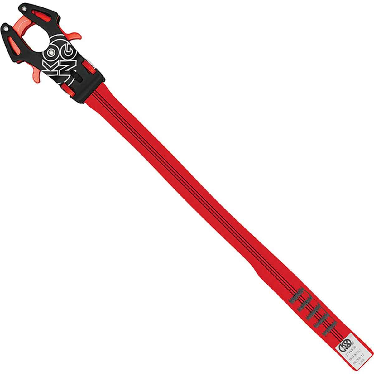Kong Italy PROG 30cm mechanism ensures secure gate operation for professional use.