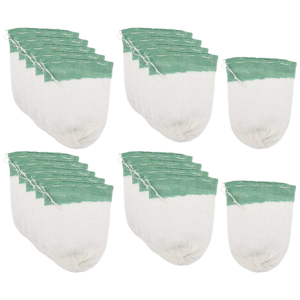 Kqcibz propane lantern mantles pack in white and green for reliable outdoor lighting.