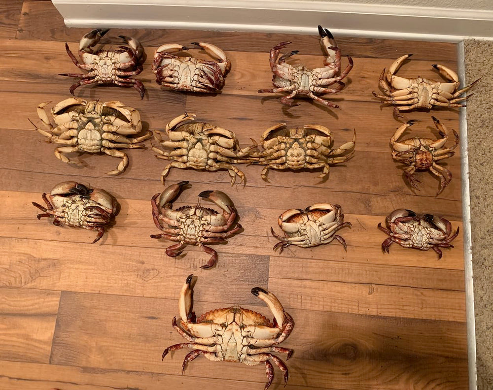 Kraken Supply Co crab trap bag and clips for secure transport.