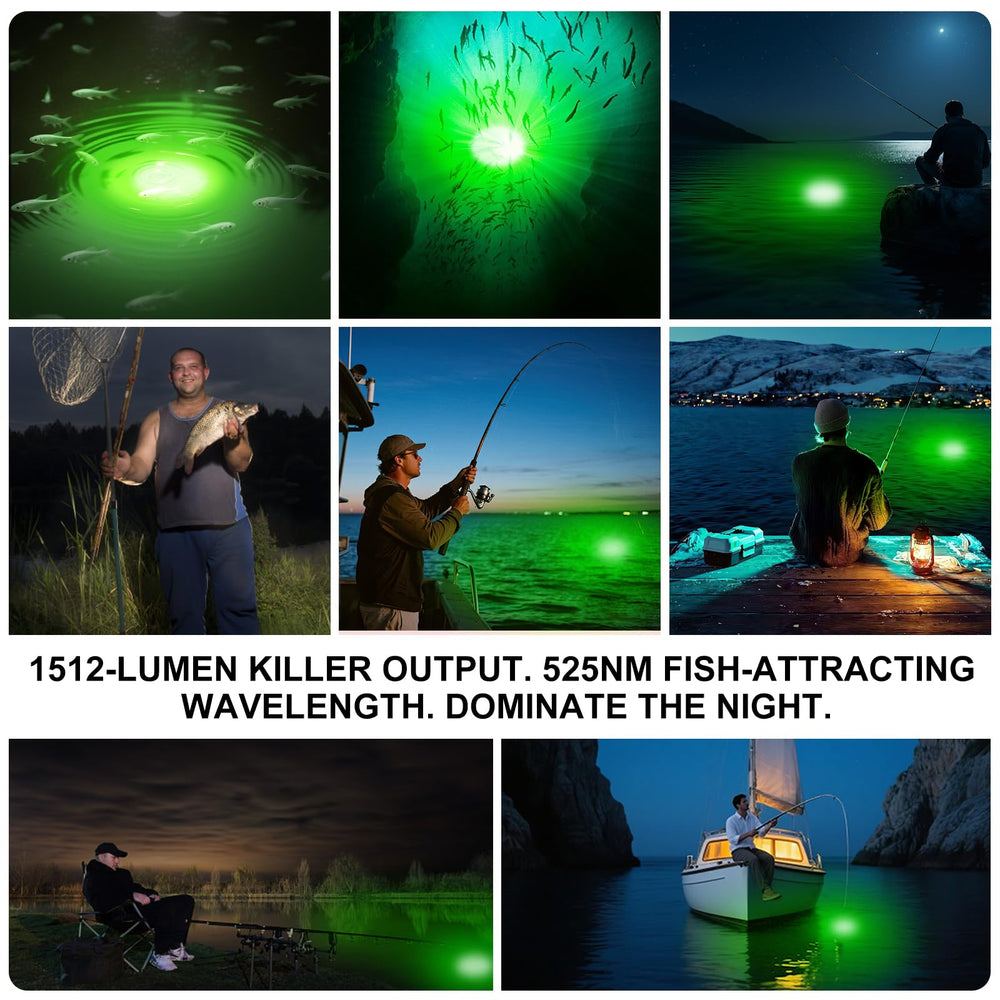 Green underwater fishing light attracting various fish species
