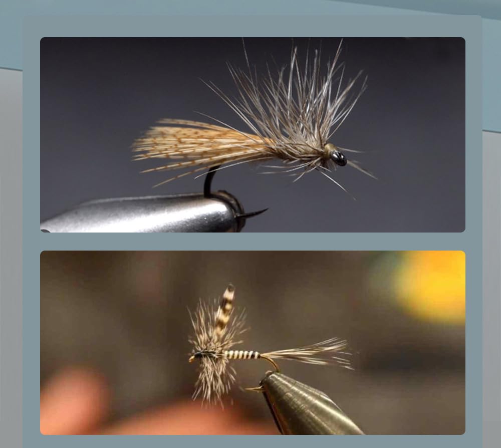 KTGCOZS bright-colored feathers attract fish by visual cues in the water.