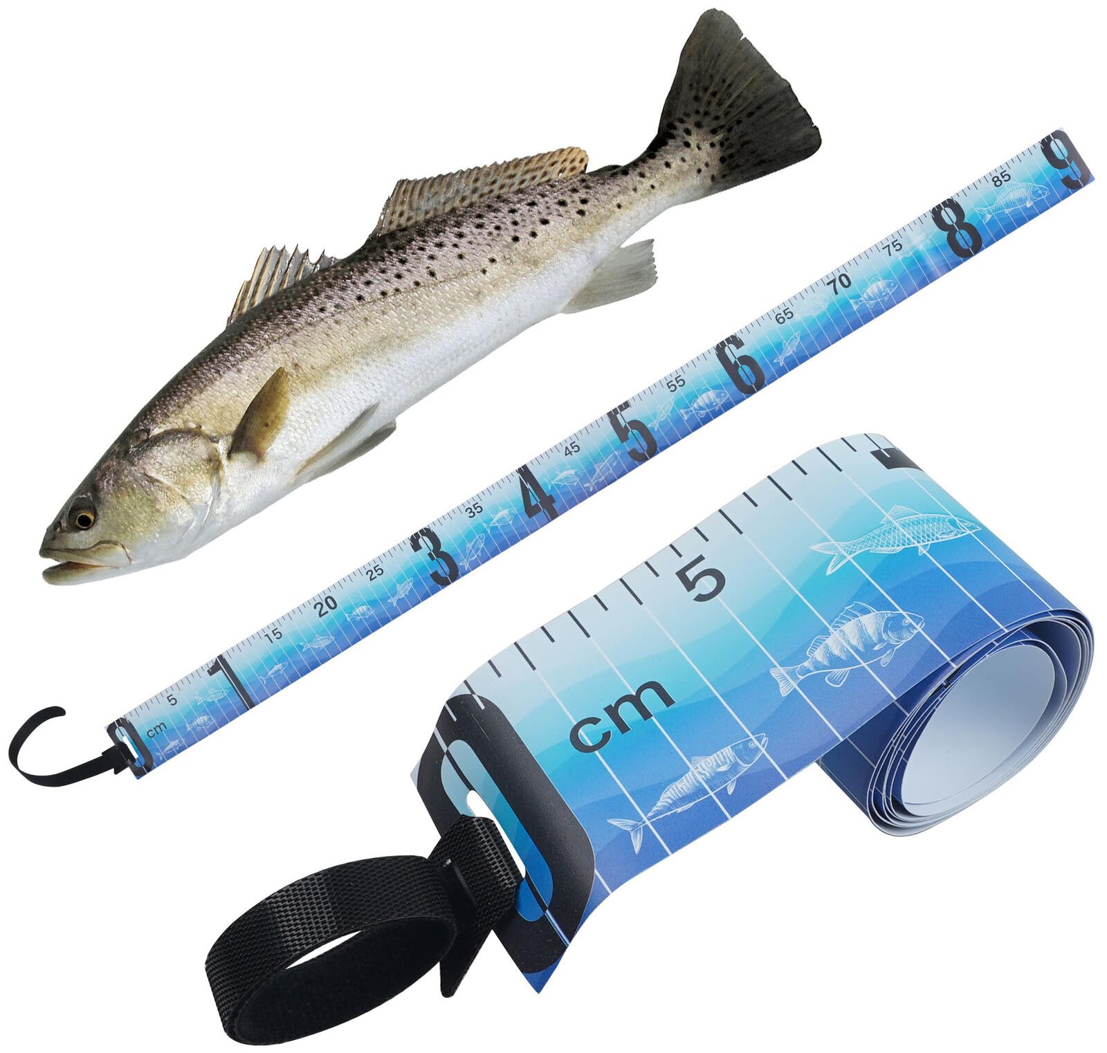 Lightweight and portable fishing measurement tool