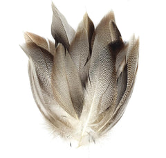 KTGCOZS pack 50 flank feathers for authentic fly tying and durable lures.