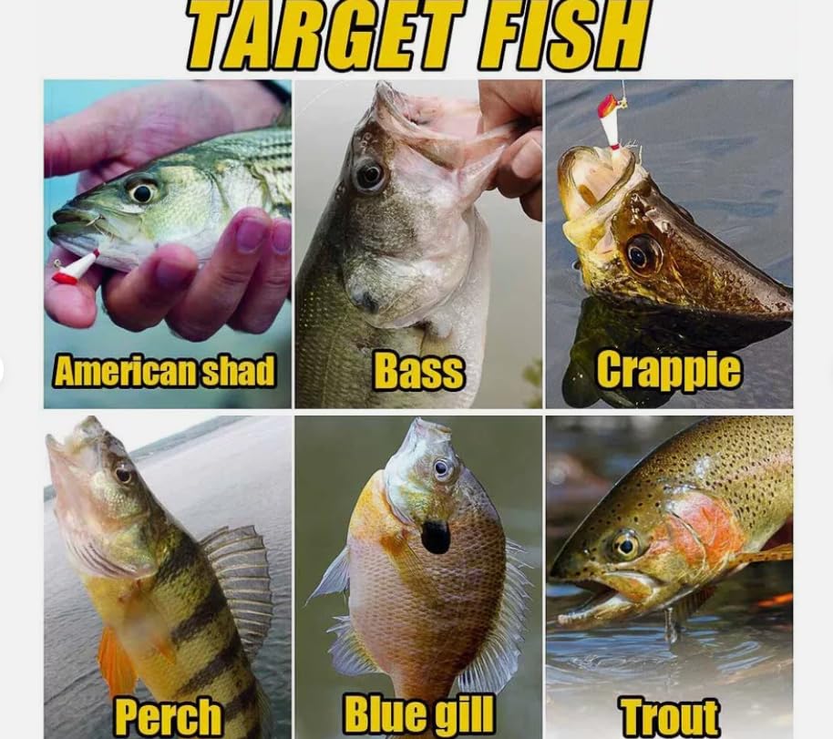 KTGCOZS vibrant colored jig head for high visibility