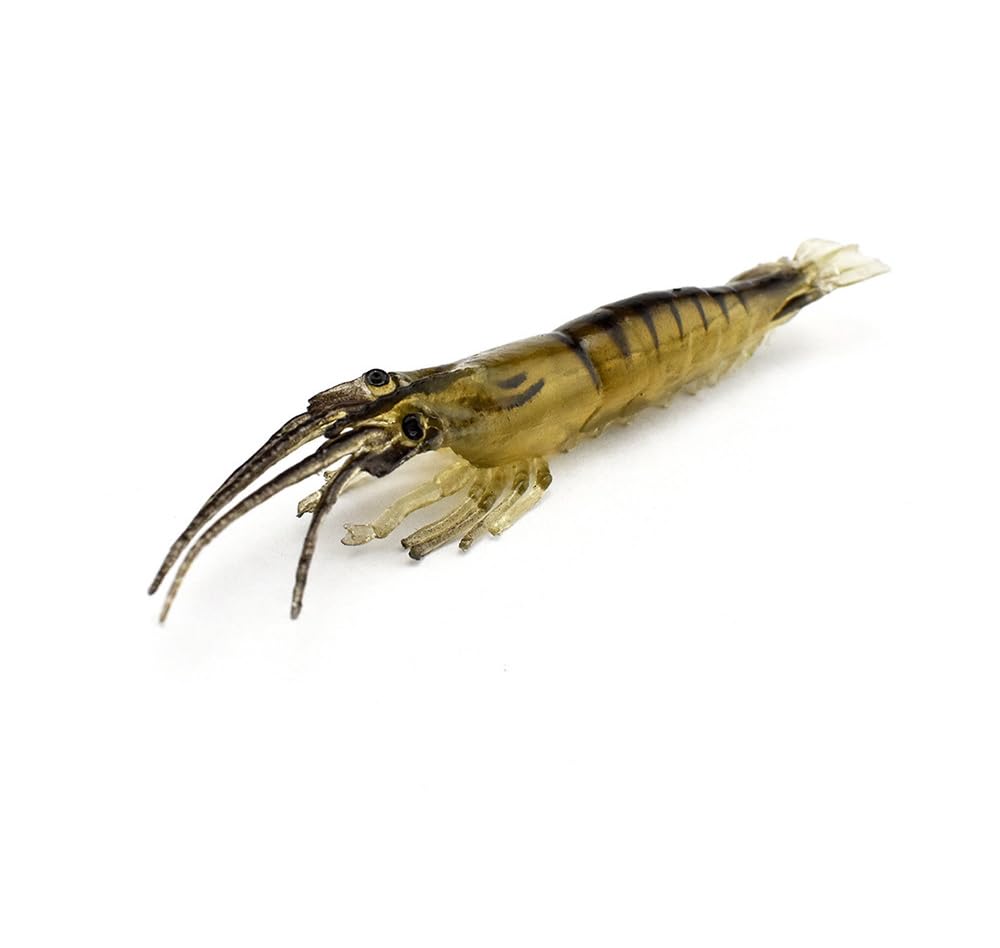 KTGCOZS soft plastic bait in water demonstrates versatile saltwater lure performance