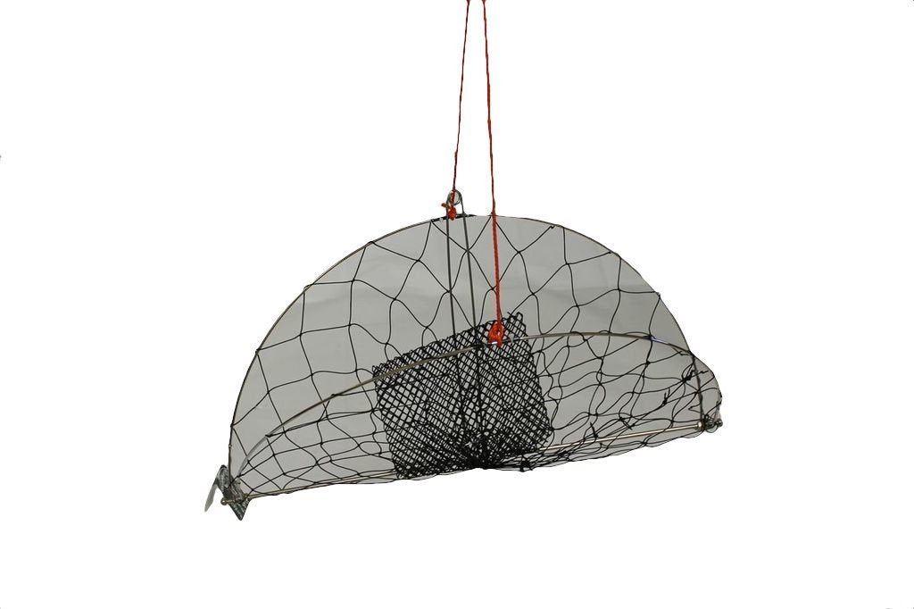 Collapsed KUFA crab trap dimensions 22 x 12 x 2 inches, 1 lb each