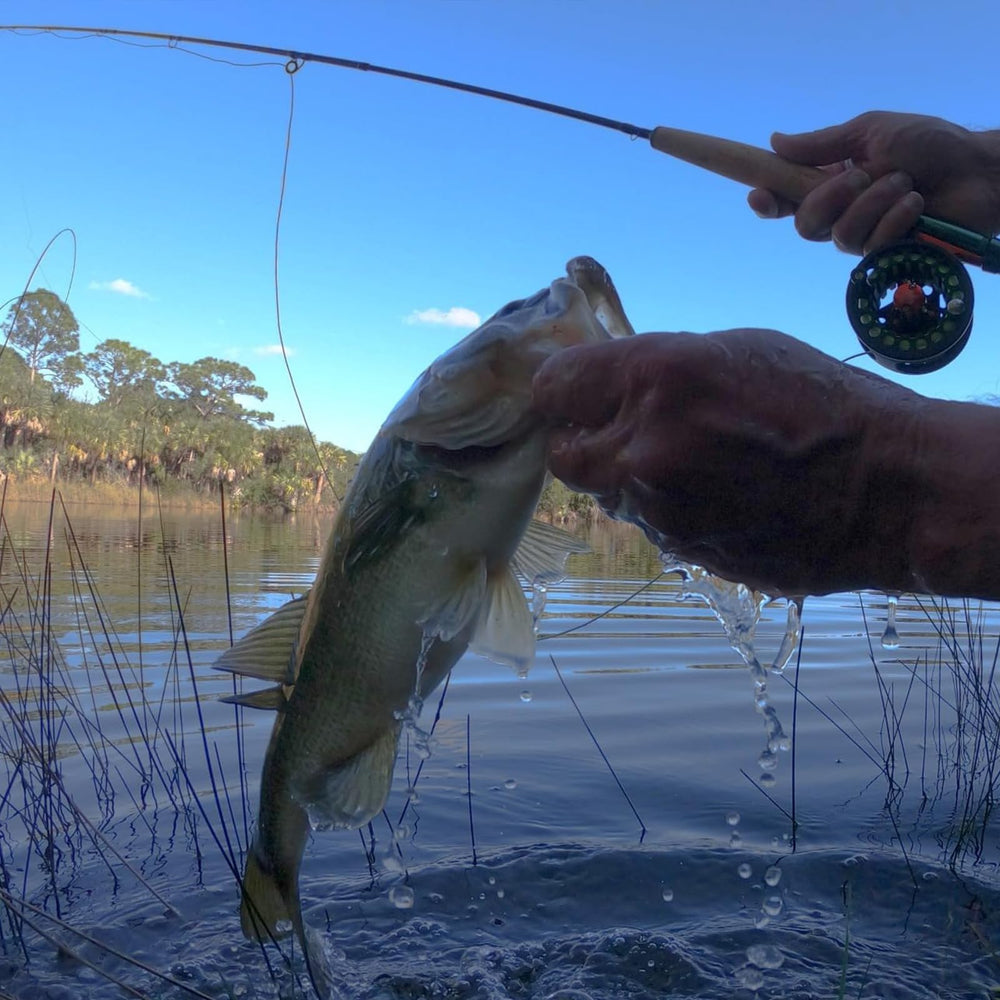 Fly rod stored inside protective tube case