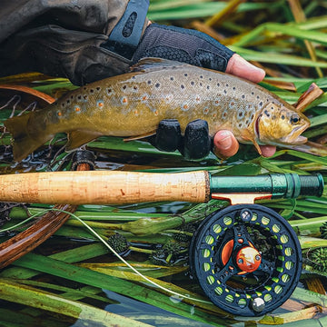 Kylebooker versatile setup ideal for streams rivers lakes and ponds