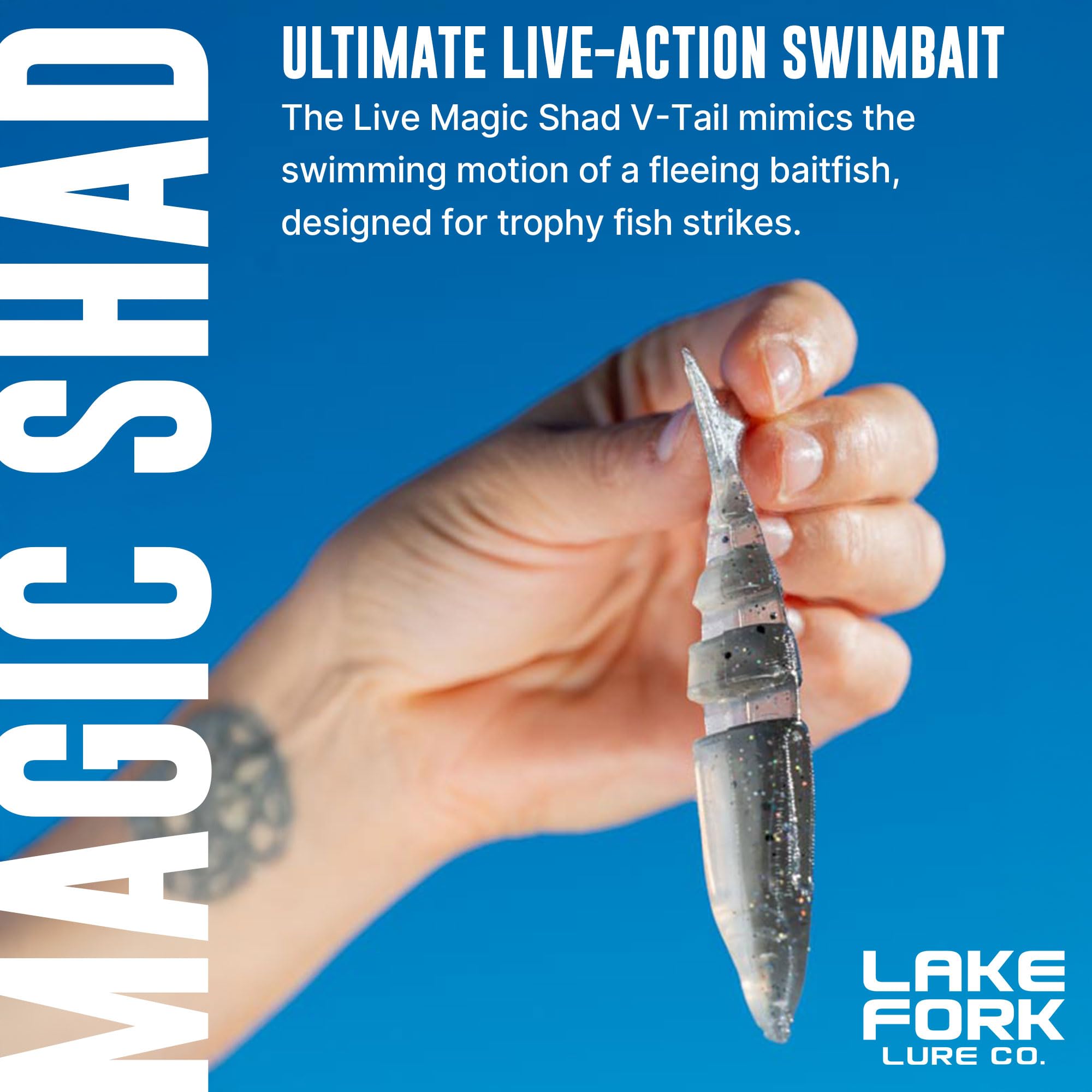 Lake Fork Live Magic Shad Smoked Pearl segmented body promotes lifelike swim