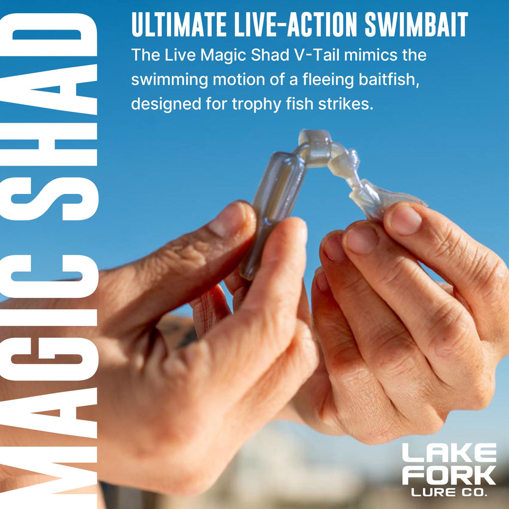 Lake Fork Live Magic Shad soft plastic texture close-up for lifelike movement