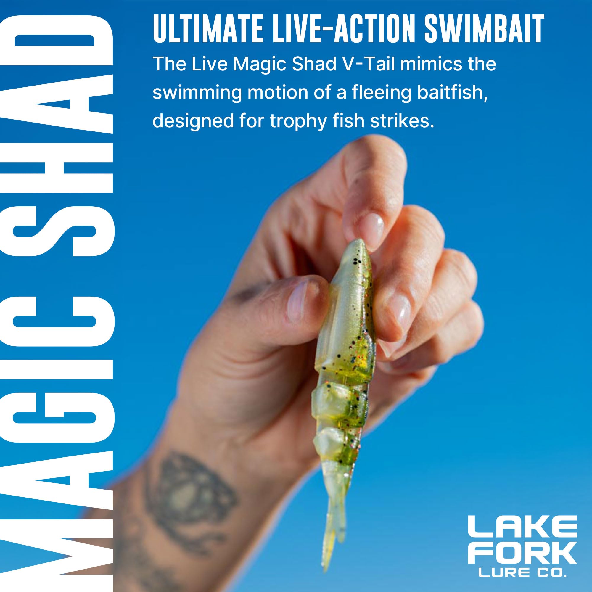 Lake Fork Live Magic Shad V-Tail swim action entices bites.