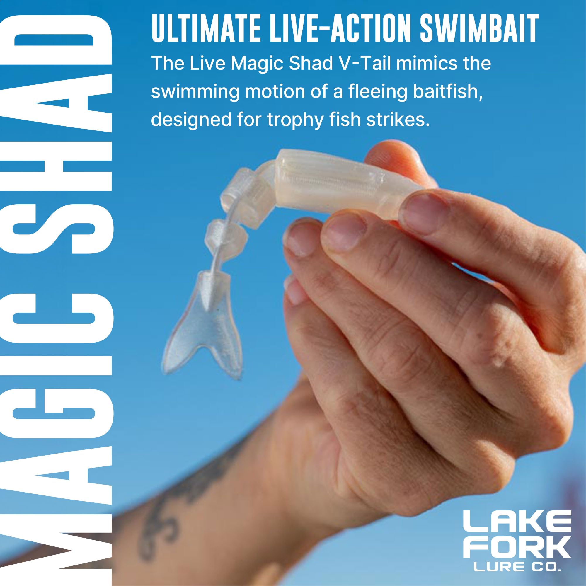 Lake Fork Live Magic Shad V-Tail in motion demonstrates natural swimming at slow retrieves