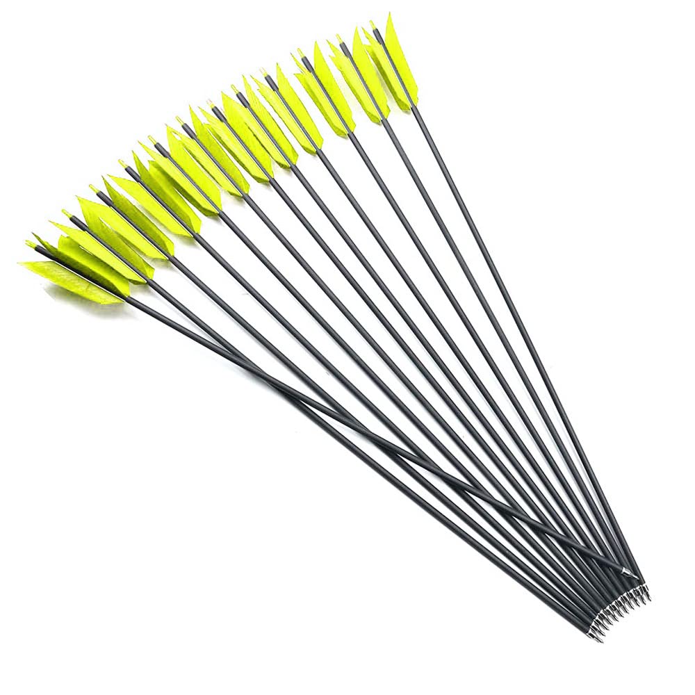 Lamehfyo spine 500 arrows provide consistent flight for training.