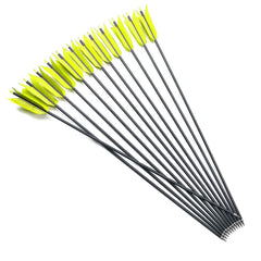 Lamehfyo spine 500 arrows provide consistent flight for training.
