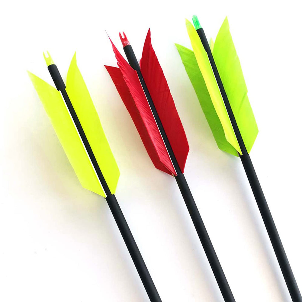 Lamehfyo 12 arrows red packaging for easy transport and practice