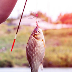 Lamptti dice bait lure featuring whiskers design for realistic movement