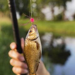 Lamptti soft PVC lure offers durable material for repeated casts