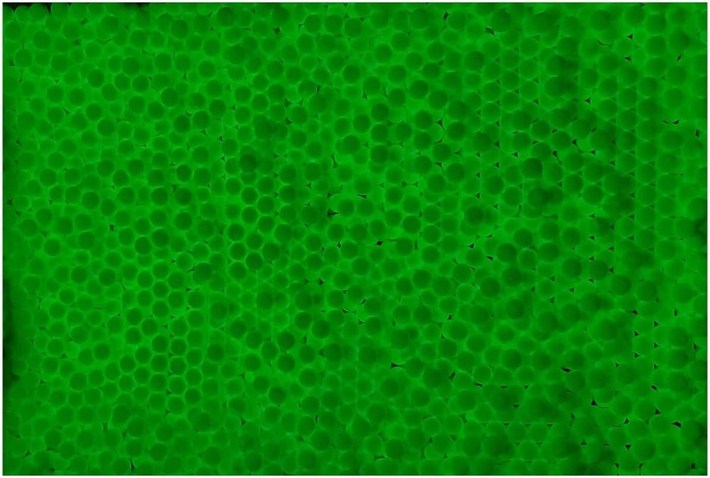 Lancer Tactical seamless 6mm BBS close-up highlights precision.