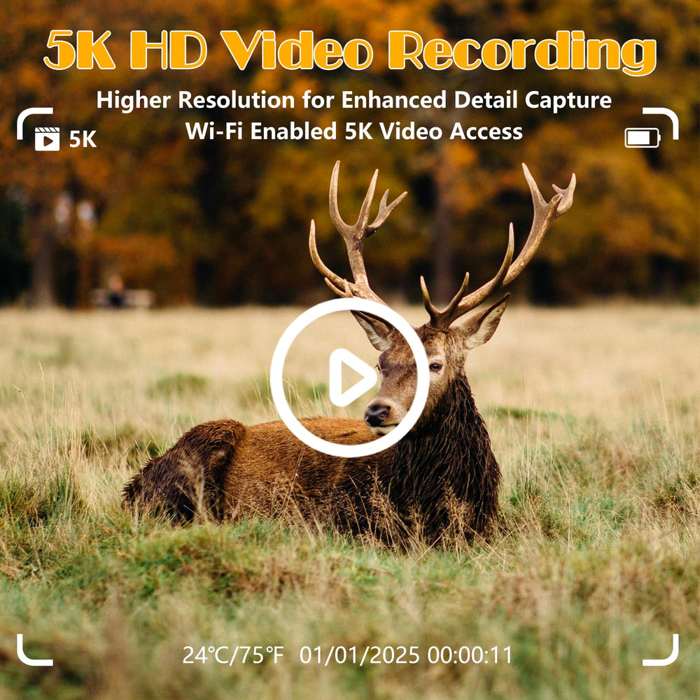 LANTOOCAM 5K video and 60MP stills capture vivid wildlife details.