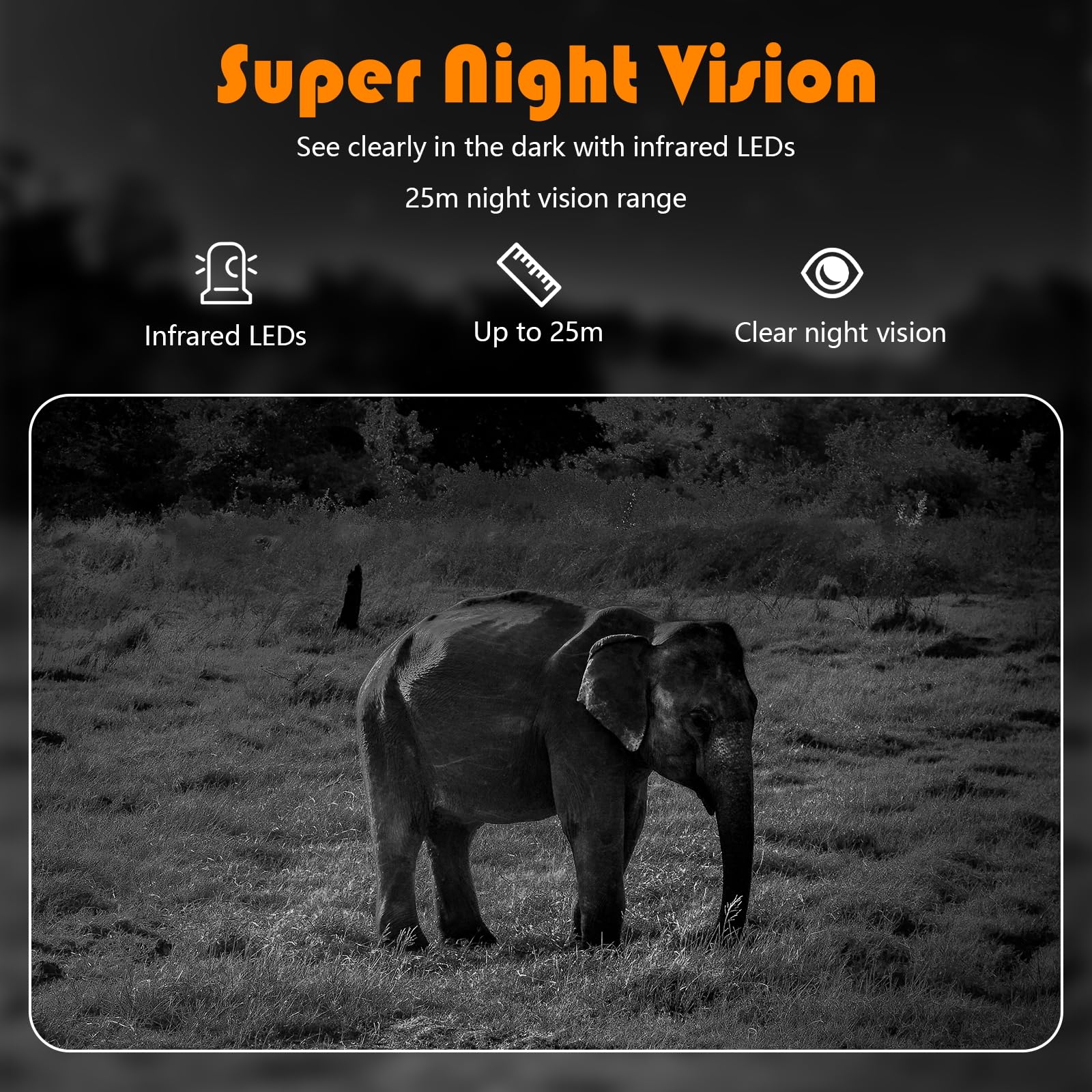 LANTOOCAM motion-activated 0.2s prompts quick wildlife alerts and evidence gathering.