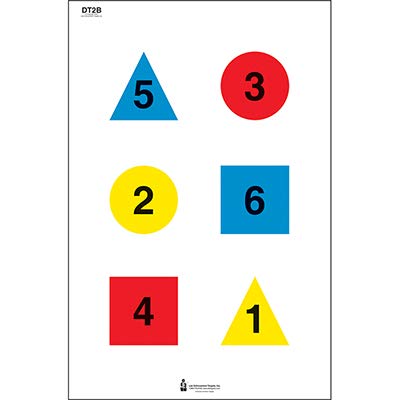 Law Enforcement DT-2B four-color discretionary target for command training and precision practice